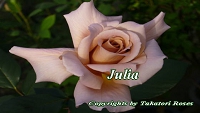julia.jpg